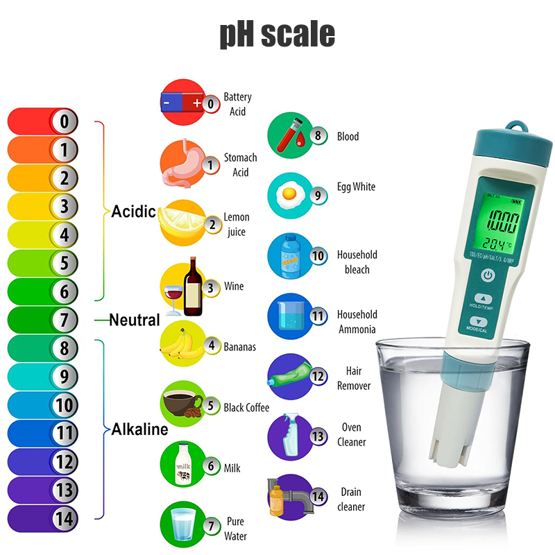 WESTTUNE Digital PH Meter 7 In - Ph Meter Digital Water Tester recension och pris
