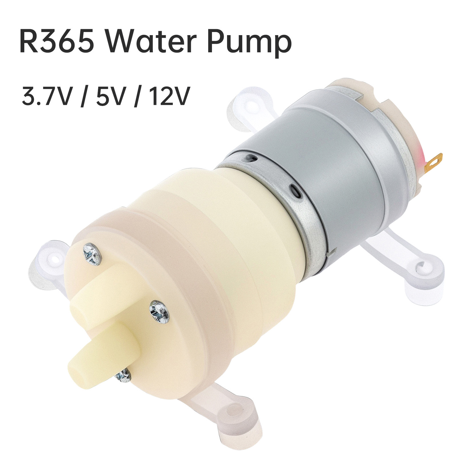 R365 Micro Water Pump Motor DC - Mini Peristaltic Pump 12V recension och pris
