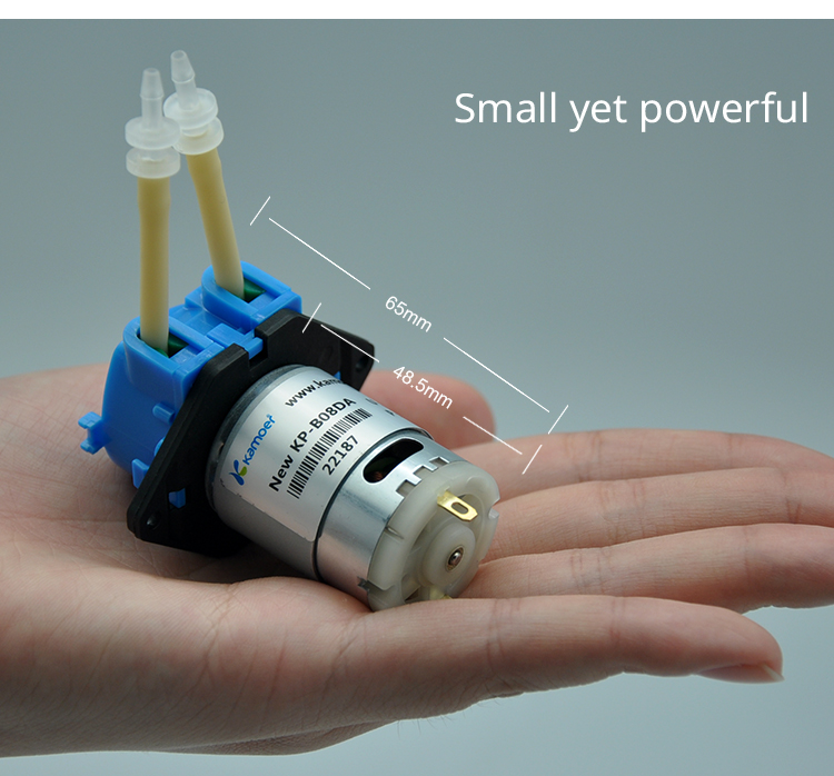 2026 new NKP 6V 12V 24V DC mot - Mini Peristaltic Pump 12V recension och pris