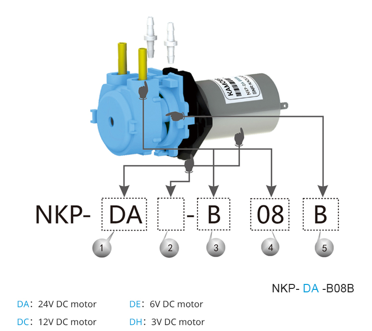 2026 new NKP 6V 12V 24V DC mot - Mini Peristaltic Pump 12V recension och pris