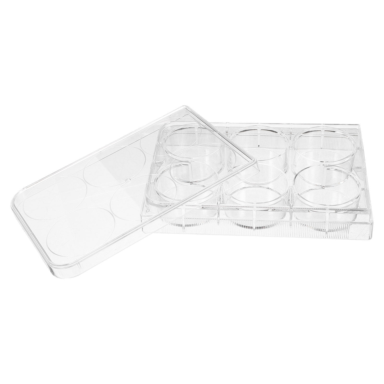 Tissue Culture Plate Lab Durab - Lab Equipment recension och pris